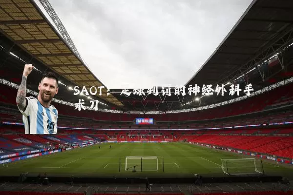 SAOT：足球判罚的神经外科手术刀